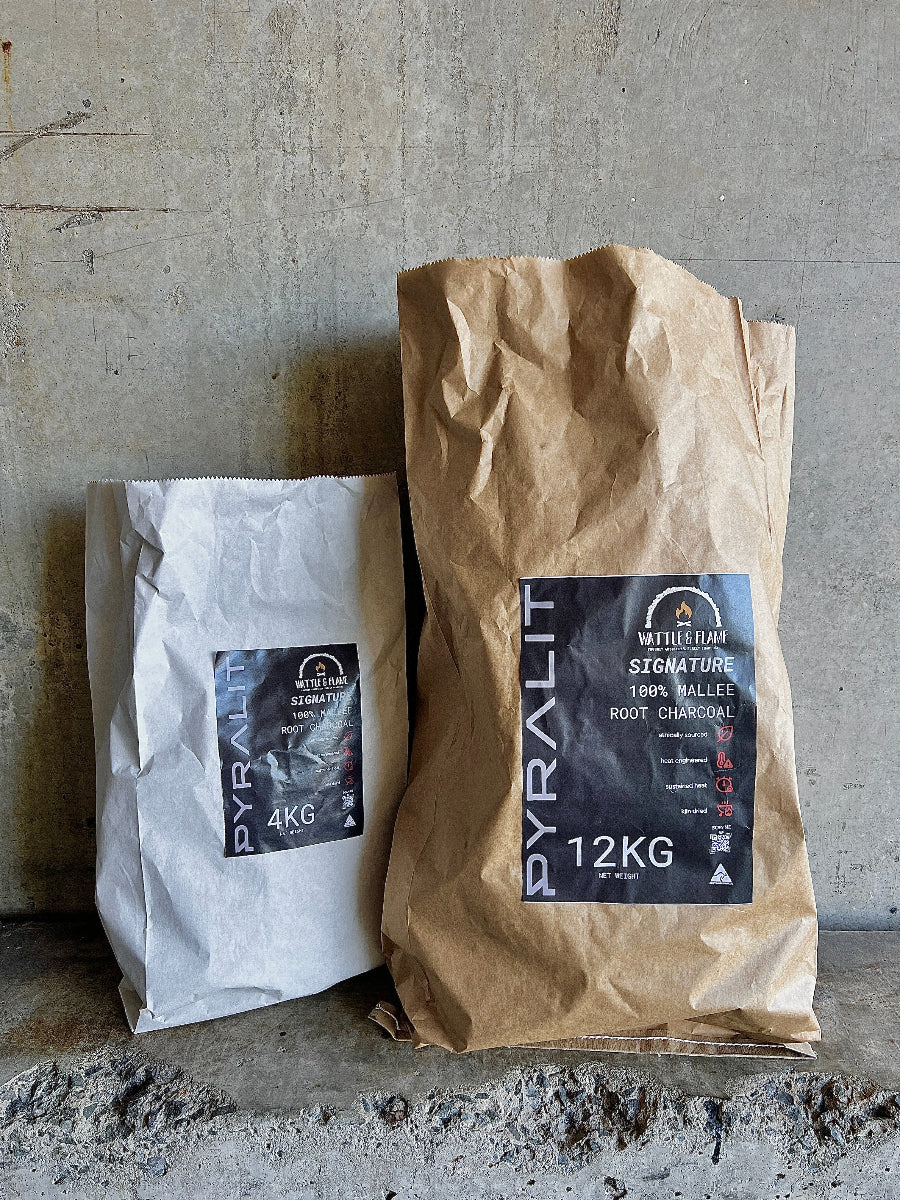 Two bags of Pyralit charcoal on a concrete surface with a gray background